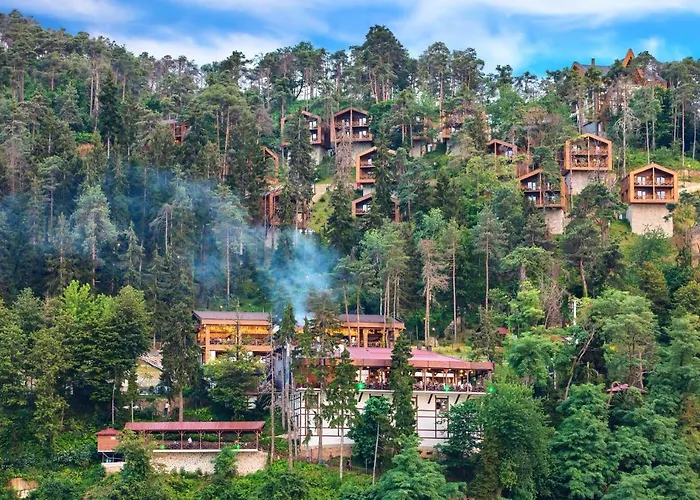 Hotel Hancioglu Orman Evleri & 4*